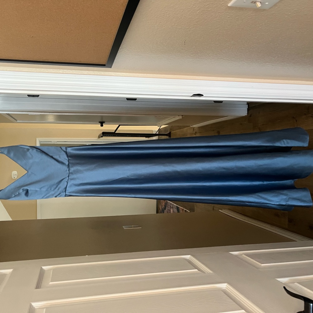 Full length David’s Bridal bridesmaid dress